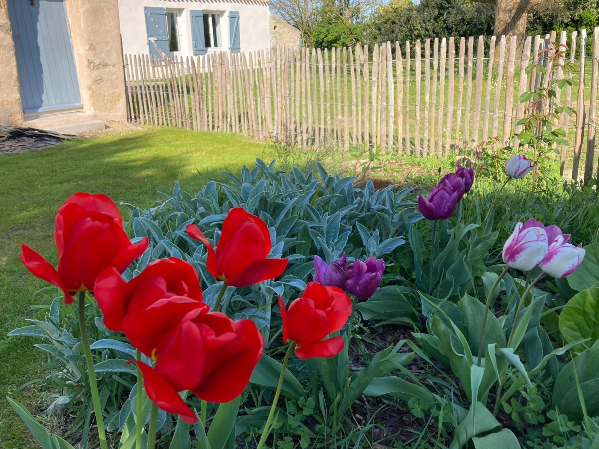 Les Pensions Du Joslin Bouin  Exterior foto